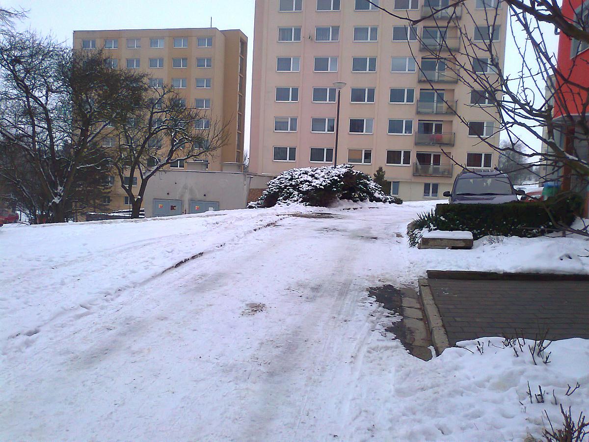 Borovina