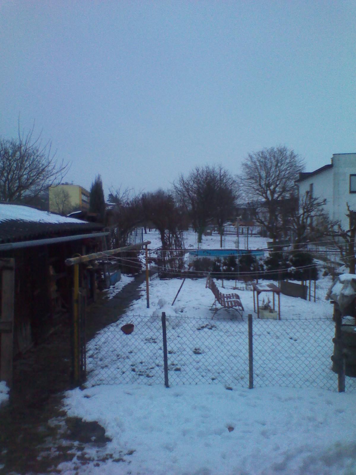 Hořice - Libonice