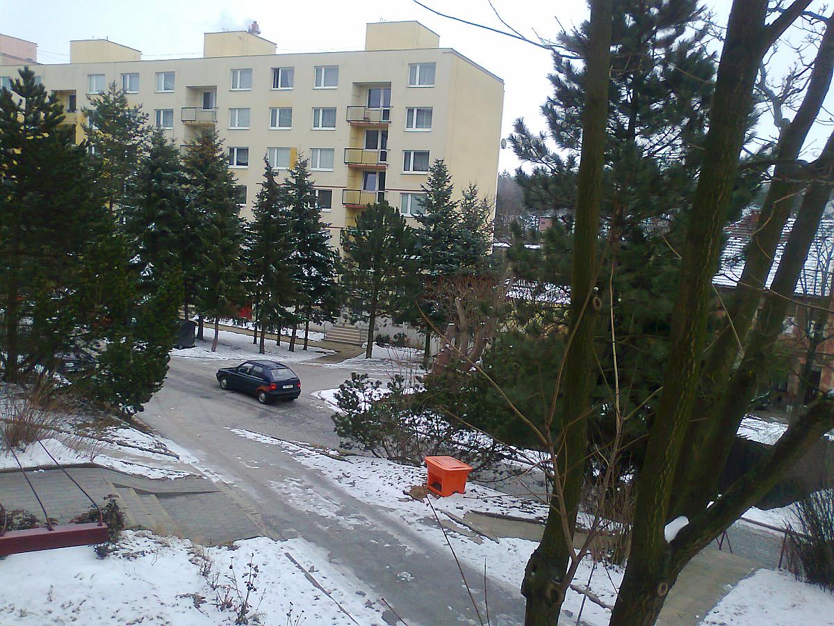 Borovina
