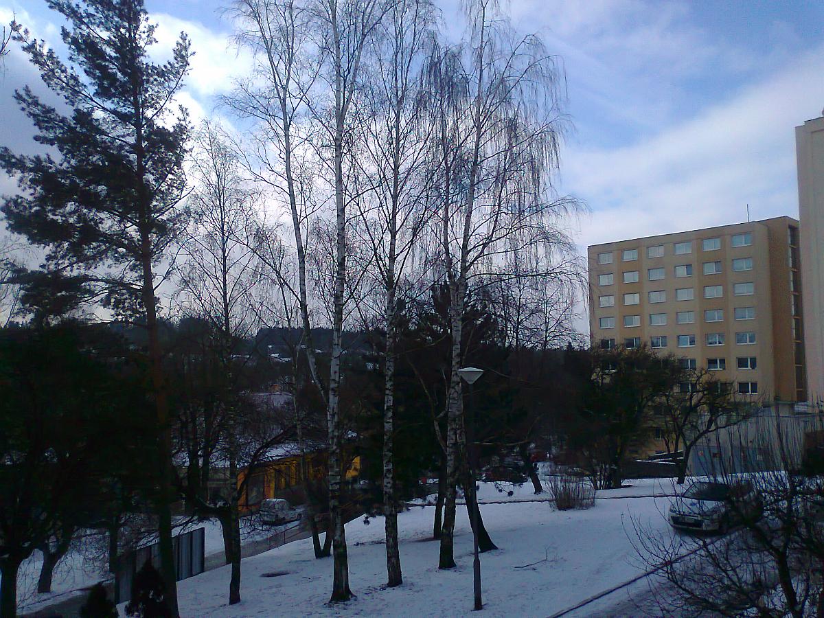 Borovina