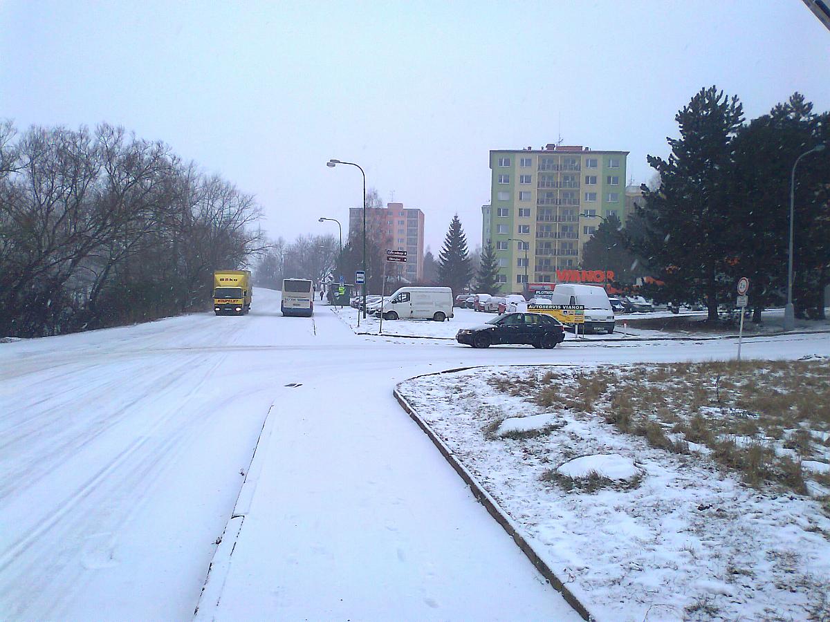 Borovina
