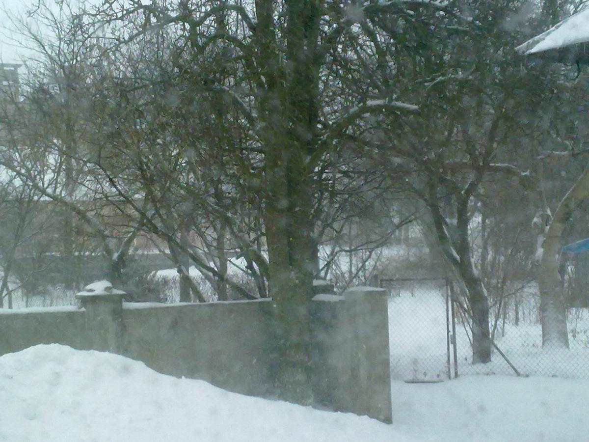 Šišma