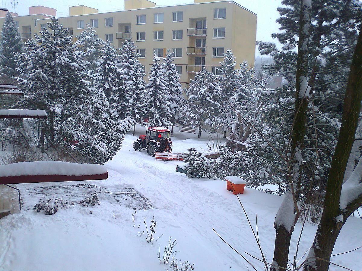 Borovina