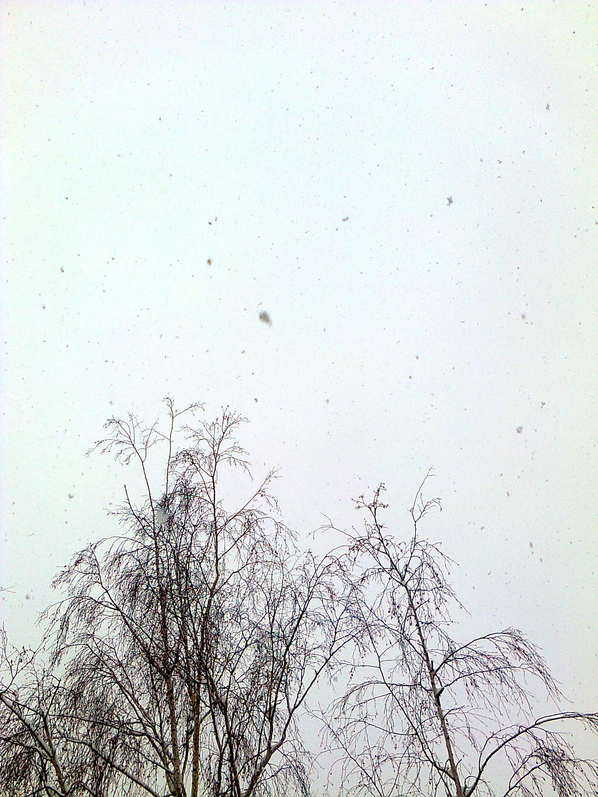 Krnov