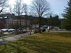 Borovina