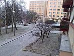 Borovina