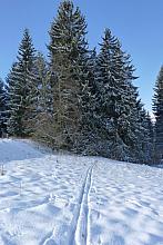 Toužim