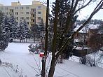 Borovina