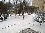Borovina