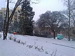 Borovina