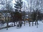 Borovina