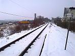 Borovina