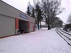 Borovina