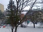 Borovina