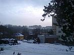 Borovina