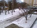 Borovina