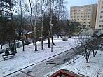 Borovina