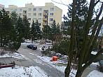 Borovina