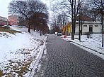 Borovina