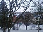 Borovina
