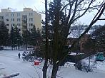 Borovina