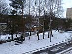 Borovina