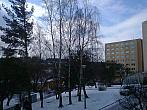 Borovina