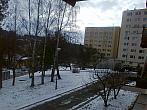 Borovina