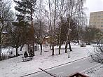 Borovina
