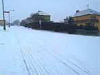 Borovina