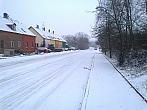 Borovina