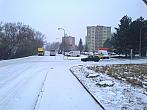 Borovina