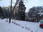Borovina
