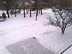 Borovina