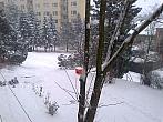Borovina