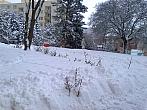 Borovina
