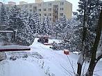 Borovina