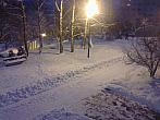 Borovina