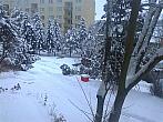 Borovina
