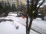 Borovina