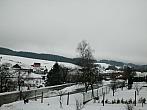 Zajíčkov