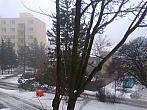 Borovina