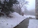 Borovina