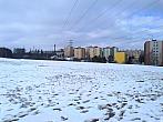 Borovina