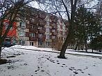 Borovina
