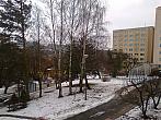 Borovina