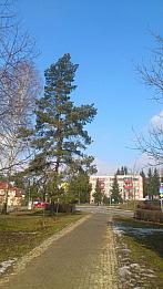 Šumperk