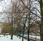 České Budějovice