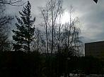 Borovina