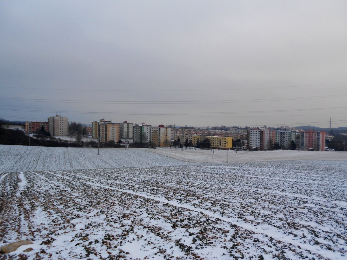 Borovina